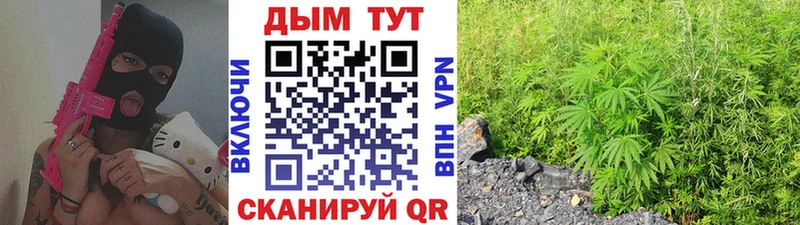 МАРИХУАНА план  Андреаполь 